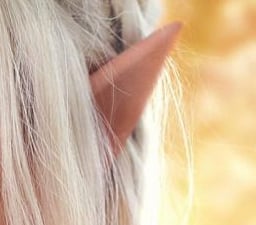 lotr quiz